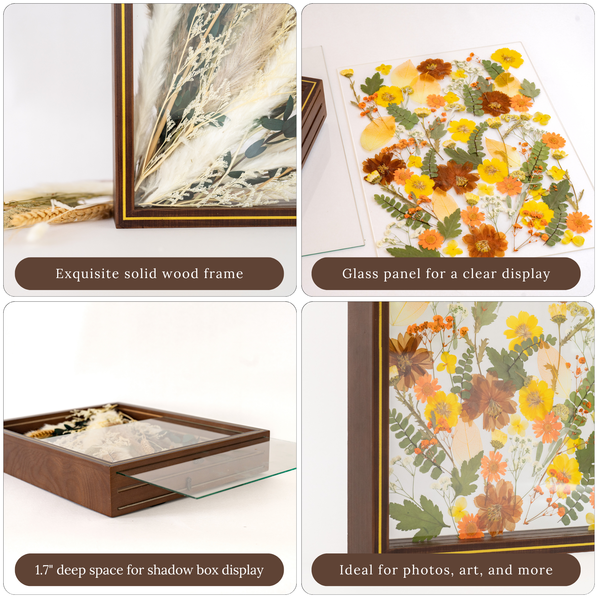 Pressed Flower Frame 11x14 Floating Glass for Dried Flowers