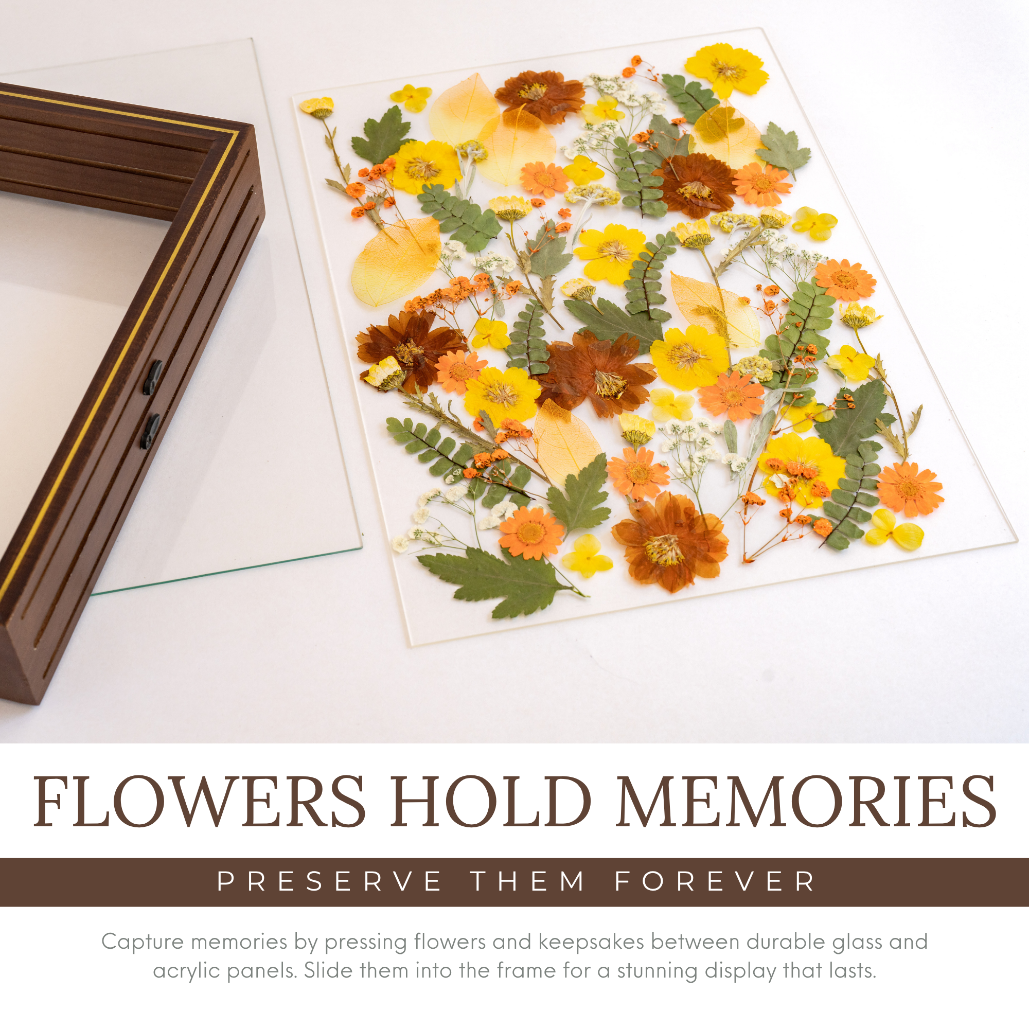 Pressed Flower Frame 11x14 Floating Glass for Dried Flowers