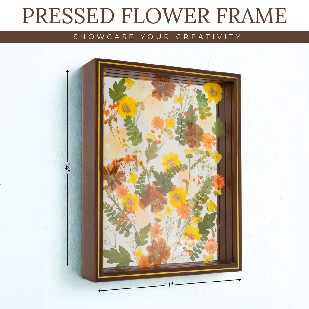 Pressed Flower Frame 11x14 Floating Glass for Dried Flowers