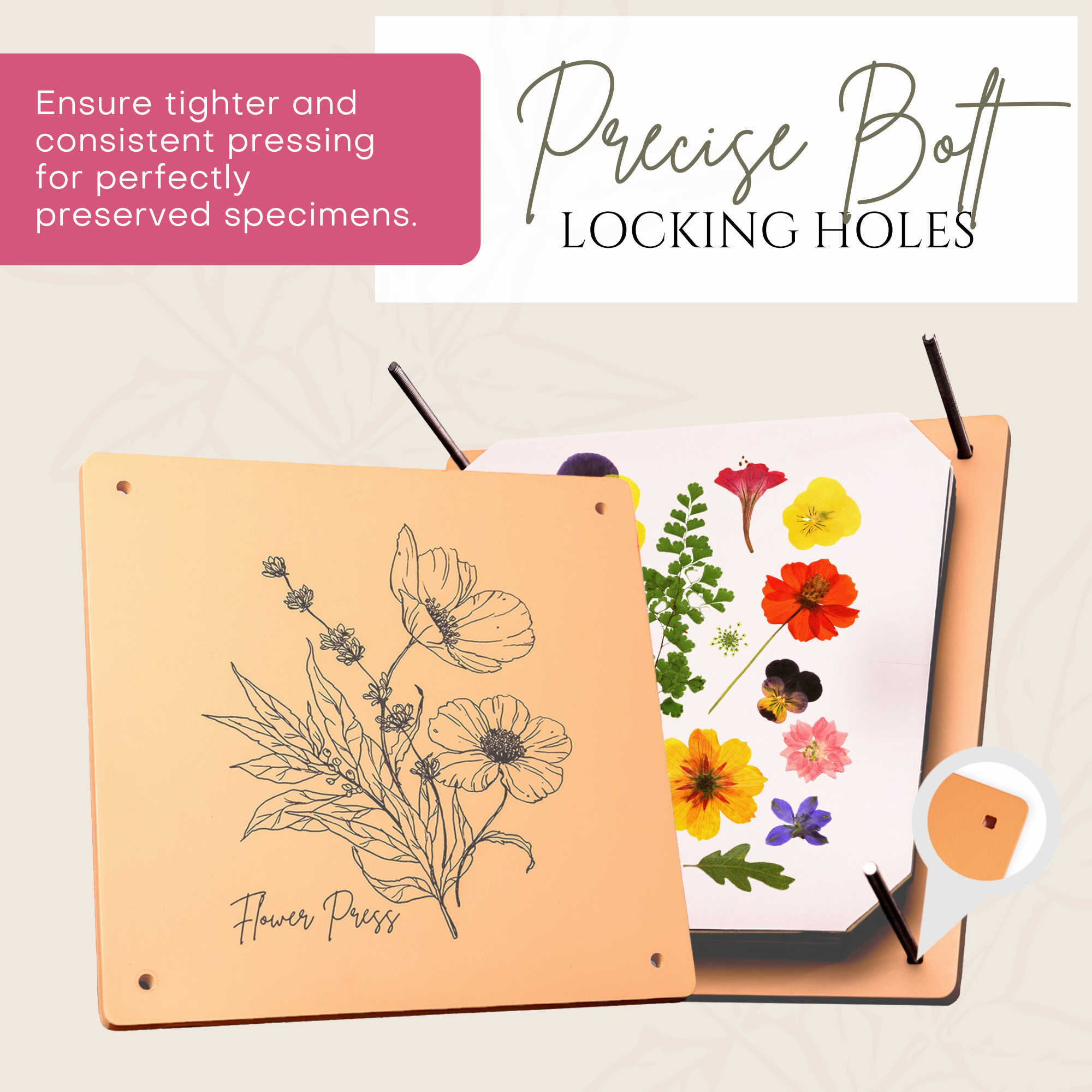 Wooden Flower Press Kit – 10 Layers with White Absorbent Sheets & Ebook Guide